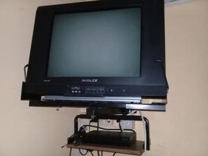 Televisor de 21 pulgadas con soporte