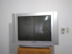 VENDO TV 29' IMPECABLE