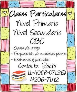 Clases particulares individuales de nivel Primario,