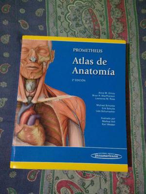 Prometheus Atlas De Anatomia 2° Edición - Panamericana