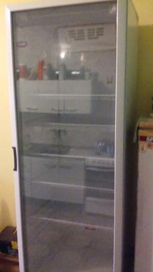 VENDO EXHIBIDORA VERTICAL INELRO DE 470 LTS