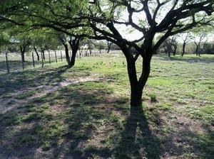 vendo campo en chosmes san luis