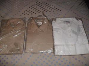 CAMISA COLOR ARENA