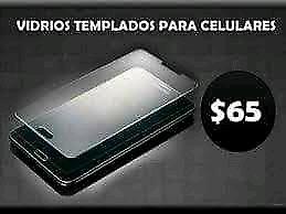 VIDRIOS TEMPLADOS PARA TU CELULAR