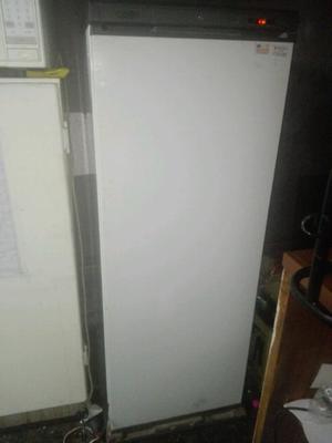 Vendo freezer vertical grande 6 cajones, cindy f21