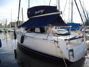 BRAMADOR 28 NOVA