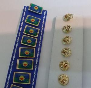 PINS BANDERA PROVINCIA DE BS AS DE ARGENTINA DE 2 CMS