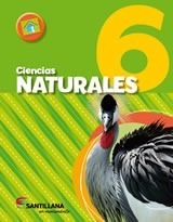 Ciencias Naturales 6 Nacion En Movimiento - Santillana