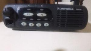 Radio Movil Motorola Pro 3100