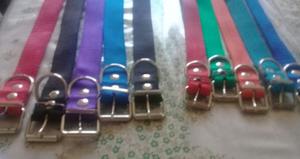 Collares, correas y pretales