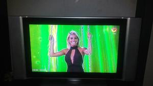 VENDO TELEVISOR 29 Usado