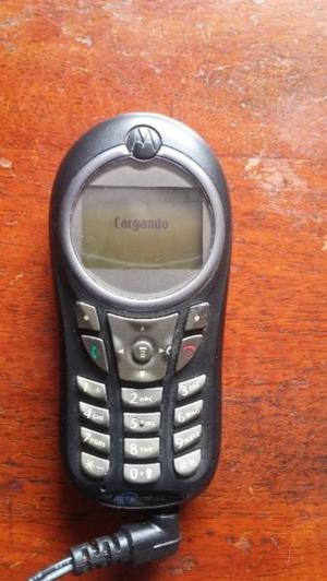 Celular Motorola C115