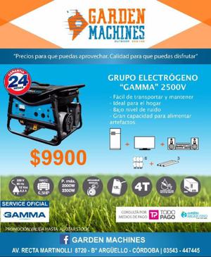 Grupo Electrógeno Gamma  V