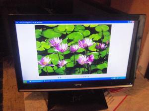 Monitor de pc, LCD 19", HDMI; usb, Video, funciona muy bien