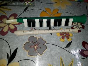 Flauta dulce y flauta melodica