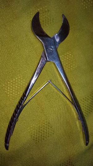 Pinza forceps Stainless