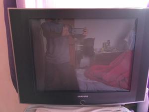 Tv Televisor Samsung 21 pulgadas Slim