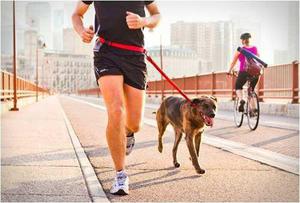 Cinturon Para Pasear Y Correr Con El Perro