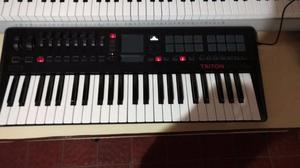 Sintetizador Korg Triton Taktile 49 (MIDI-USB)