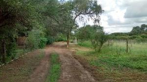 VENDO EXCELENTE LOTE DE 20X50 EN MACO - SAN ESTEBAN