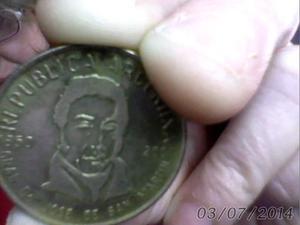 Malvinas  Moneda