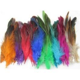 Plumas Colores, Guinea, Marabu, Exoticas