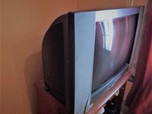 1 TV NOBLEX 29 PULGADA