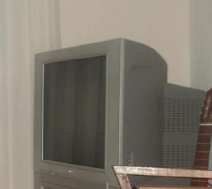 Vendo Televisor 29” Philips pantalla plana