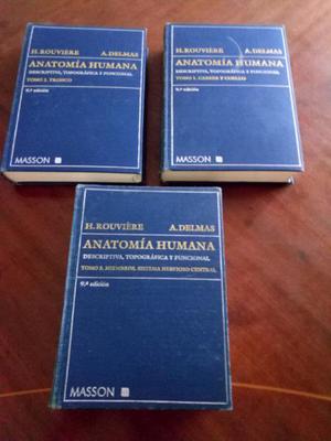 Libros Anatomia Humana. H. Rouviere.