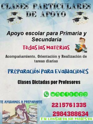 Clases particulares Primaria y Secundaria