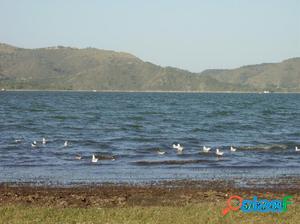 Lote Barrio del Lago-Potrero de Garay