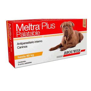 Meltra Plus Palatable Perros Hasta 60kg - Oferta