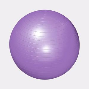 Pelota Pilates Gymball Esferodinamia Reforzada 65 Cm