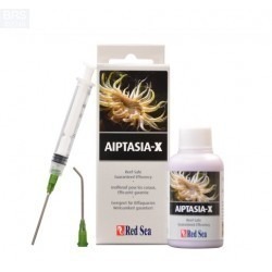 Aiptasia-x Red Sea - Elimina Anemonas Indeseables X 60 Ml