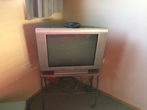 Televisor Sanyo Vizon 29 pulgadas La PLata