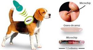 Microchip Para Perros - Identificacion De Animales