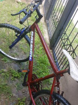 Bicicleta mountain bike