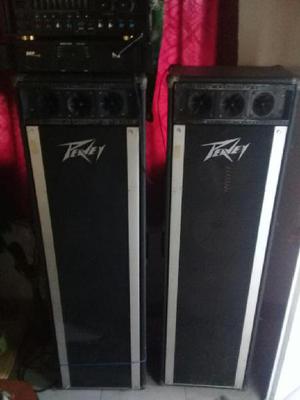 Vendo Permuto Columnas Peavey