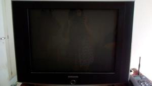 Vendo TV 29