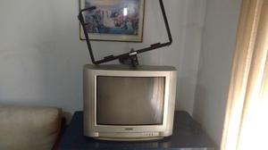 Vendo Televisor de 21 pulgadas, pantalla semi plana