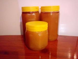 Miel pura de abejas 100 % de montes nativos orgánicos
