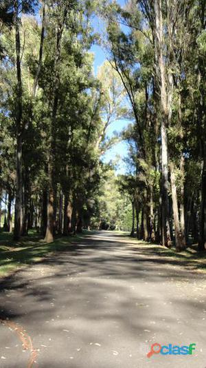 Terreno - Haras San Pablo