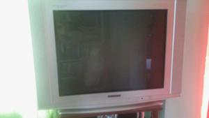 Vendo televisor usado sin funcionar
