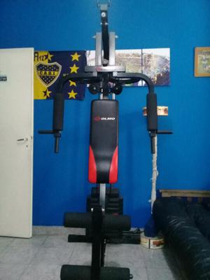 Vendo multigimnasio olmo