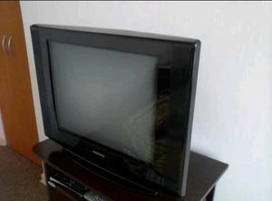 Vendo televisor de 21