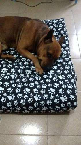 Cama Para Perros 100cm X 80cm Espuma Alta Densidad Lavable