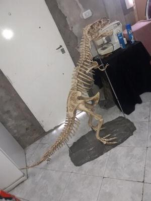 Dinosaurio de coleccion de plastico,1m 20cm