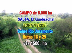 Campo 8.000 ha en El Quebrachal SALTA para desmonte. Apto