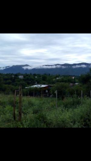 Construccion de cabañas y desmonte