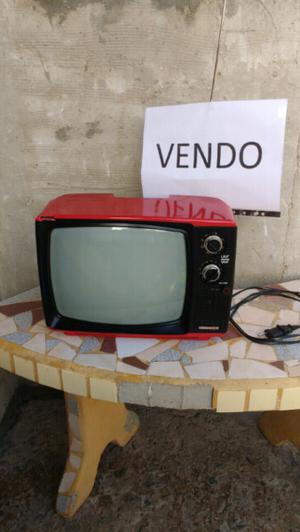 Televisor Riviera 14 pulgadas